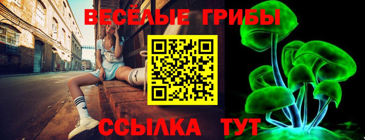 Новокубанск  Галлюциногенные грибы ЛСД  купить  цена  Вход с VPN 