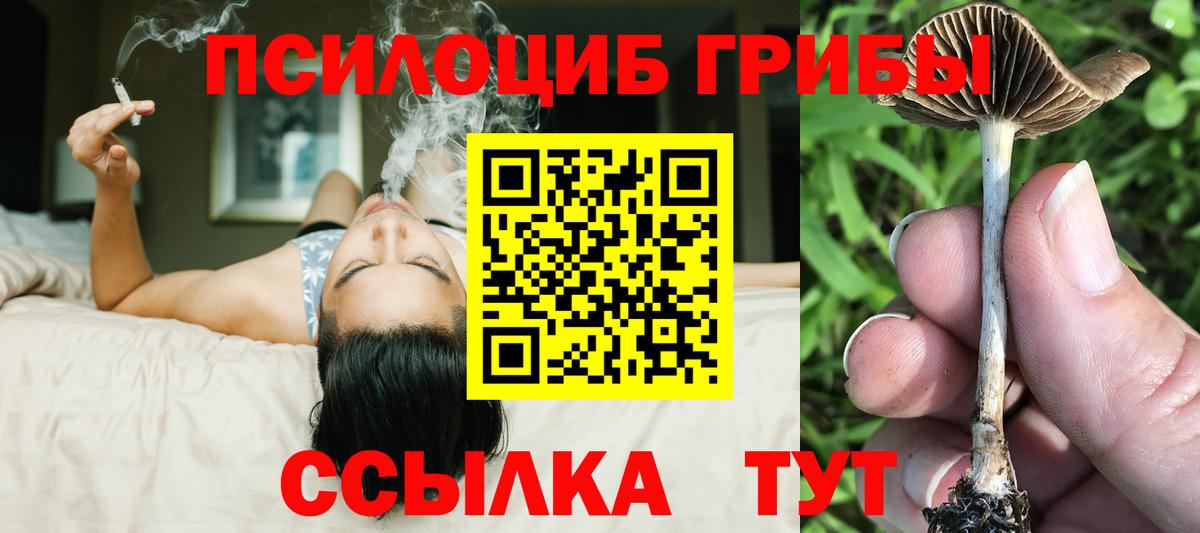 Псилоцибиновые грибы GOLDEN TEACHER Новокубанск
